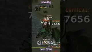 Shaiya GLOBAL - Leveling