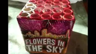 FLOWERS IN THE SKY 25 Schuss Batterie - Bugano NEM: 182gr!!!