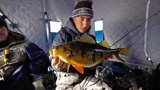 Dirty Water MONSTER Perch!