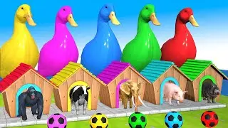 Cow Mammoth Elephant Gorilla Lion Hippo Guess The Right Key ESCAPE ROOM CHALLENGE Animals Cage Game