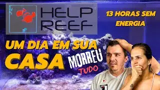 HELP REEF UM DIA EM SUA CASA - JOÃO - MEU MUNDO MINHA VIDA