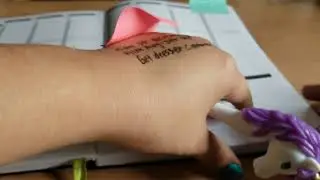 My thoughts and review of the passion planner elite undated planner