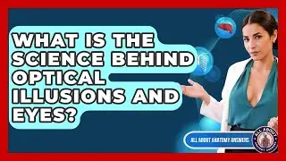 What Is The Science Behind Optical Illusions And Eyes? - All About Anatomy Answers