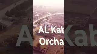 Al Kabir orchard Latest Update Full video