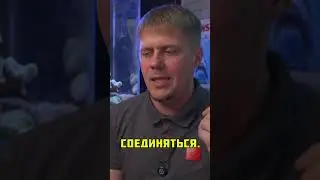Приехали помпы Jebao MLW 30! Но у одной проблема с Wi-FI #морскойаквариум #aquarium #reeftank