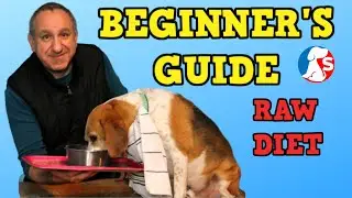 Beginner's Guide To Raw Feeding Dogs