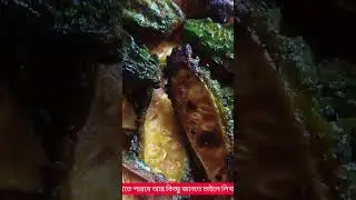 Veg Crocodile (Bitter Gourd) তেতো কিন্তু তেতো নয়, 😋।Tuli's Flavourful Journey. #short#viral#উচ্ছে