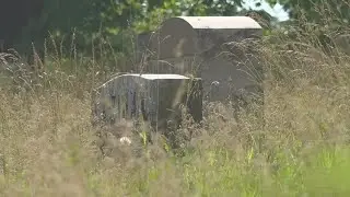 'It's a disgrace': Families complain about conditions at Green Lawn Cemetery