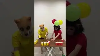 🏀🔥 Bounce Ball Cup Challenge &ndash; Red Monkey vs Yellow Dog #domofrocrew #funny #challenge #games