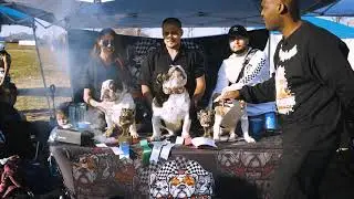 Concrete Jungle 3 Bully Show & Funshow - The Pitstop Bullies (SMOKE SECTION)