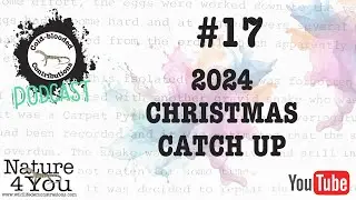 Episode 17 of the Cold-blooded Contributions Podcast - Christmas Catch Up