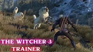How to Use trainer In The Witcher 3 - Wild Hunt | The Witcher 3 Cheats