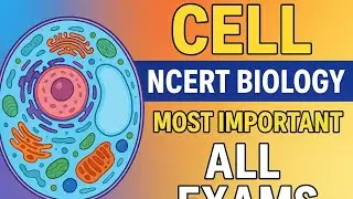 👉 Cell | NCERT Biology Most Important Chapter | All Competitive Exams | कोशिका पूरी जानकारी 