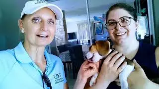 Top Dog Trainer Cape Town | Executive Dog Training Client Review | Best Obedience Expert SA