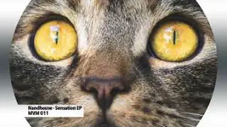 Nandhouse -Oriental Sensation (Original Mix)-