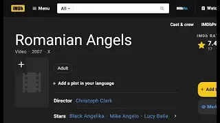 Erika Kirk Romanian Angels Shocker & Trumpstein Update
