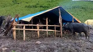 The Himalayan Place Life In Nepal And Most Relaxing Life || Mid western Rural Life !!