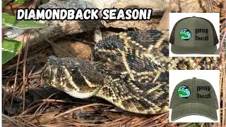 Diamondback Season Is Here! Georgia Herping!