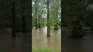 GERMANY: Days of rain cause flooding, evacuations across south as dams fail