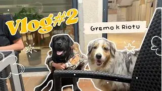 MURF MED KOKOŠKAMI IN KOZAMI: Rio, barvanje čolna in dogajanje doma | VLOG #2