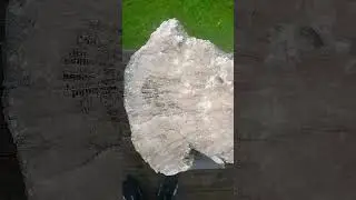 Crystalized Favosites Coral Fossils from Middle Tennessee