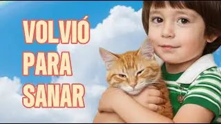 ✨ RASGU&Ntilde;OS de OTRA VIDA: SU GATO REENCARN&Oacute; para SANARLO