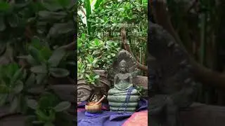 Calming the soul | Searching for yourself | Buddhism and Meditation