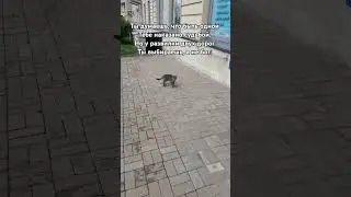 #прожизнь #судьба #выбор #короткиестихи