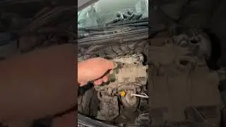 السرقة عيني عينك . شاهد و احكم بنفسك 