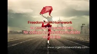 24 hour homework help. Best Homework Help Website