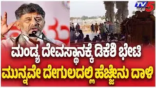 Bee Attack At Temple Just Before DK Shivakumar ಡಿಕೆಶಿ ಭೇಟಿ ಮುನ್ನವೇ ದೇಗುಲದಲ್ಲಿ ಹೆಜ್ಜೇನು ದಾಳಿ