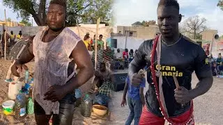D&eacute;mi-finale Choc Ndiaga Doll&eacute; Soum Vs Mame Ndour Lamb Sokone