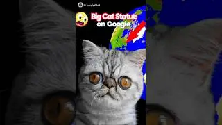 Weird Big Cat statue 🤯🐱😱 on google earth and google maps 🌎 #cat #statue #sygoogleearth