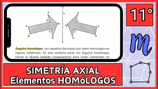 [701] #BxM Simetría AXIAL - Puntos, lados y ángulos HOMOLOGOS #undécimo