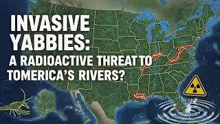 Инвазивные ябби: радиоактивная угроза для рек Америки? #InvasiveSpecies #YabiesAlert #OceanSecrets