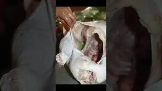 HACK: Flavorful & JUICY 🍖 Freezing & Seasoning your Holiday TURKEY by CHEF PACHI #shortsyoutube