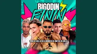 BIGODIN FININ