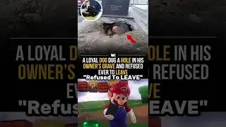 Sad Dog Story😭