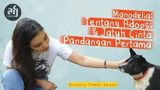 Manodelia: Tentang Adopsi & Jatuh Cinta Pandangan Pertama
