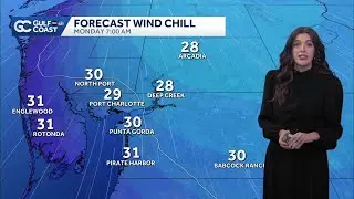 Gusty winds usher bone-chilling air into the Gulf Coast