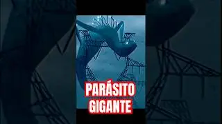 Este par&aacute;sito se come la electricidad💀⚡️⚡️ #cheems #horror #hilos