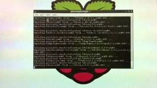 Raspberry Pi 用apt-get 安裝中文輸入法及其他軟件 （廣東話）