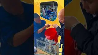 Merendam CPU Komputer Seperti Aquarium
