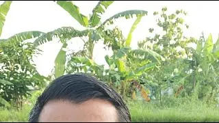 🔴SELAMAT PAGI DUNIA KITA PERINTIS APA PEWARIS