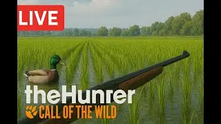 BULT: Hunting simulator oyun çıktı ilk yayın