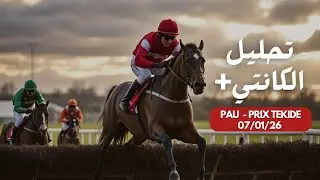 تحليل الكانتي PAU PRIX PIERRE ESTREM REY ! #quint&eacute; #pmu #obstacles #turf #courseshippiques #sports