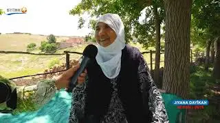 Jiyana Dayikan, Mêrdîn, Şûtê, jin, dayik, Stêrk TV