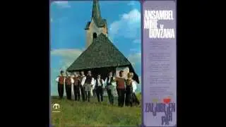 Ansambel Mihe Dovzana & Ivanka Krasevec - Rada bi se porocila 1970