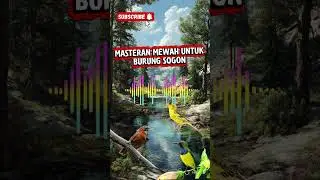 MASTERAN MEWAH BURUNG SOGON