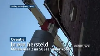 Molen in &rsquo;t Oventje maalt weer koren: &lsquo;Duurzaam brood&rsquo; I Dtv Maashorst